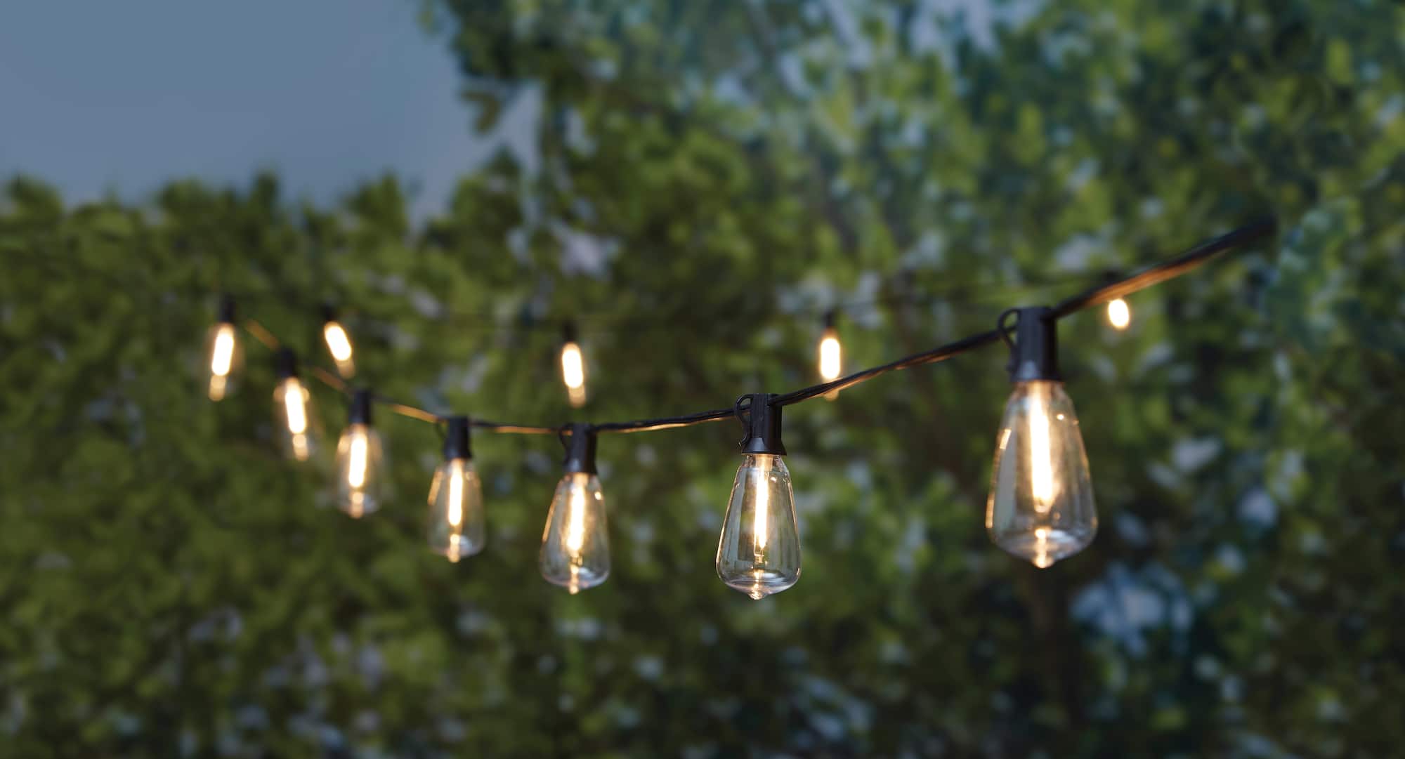 16ct. Shatterproof Black Edison Bulbs LED String Lights by Ashland®